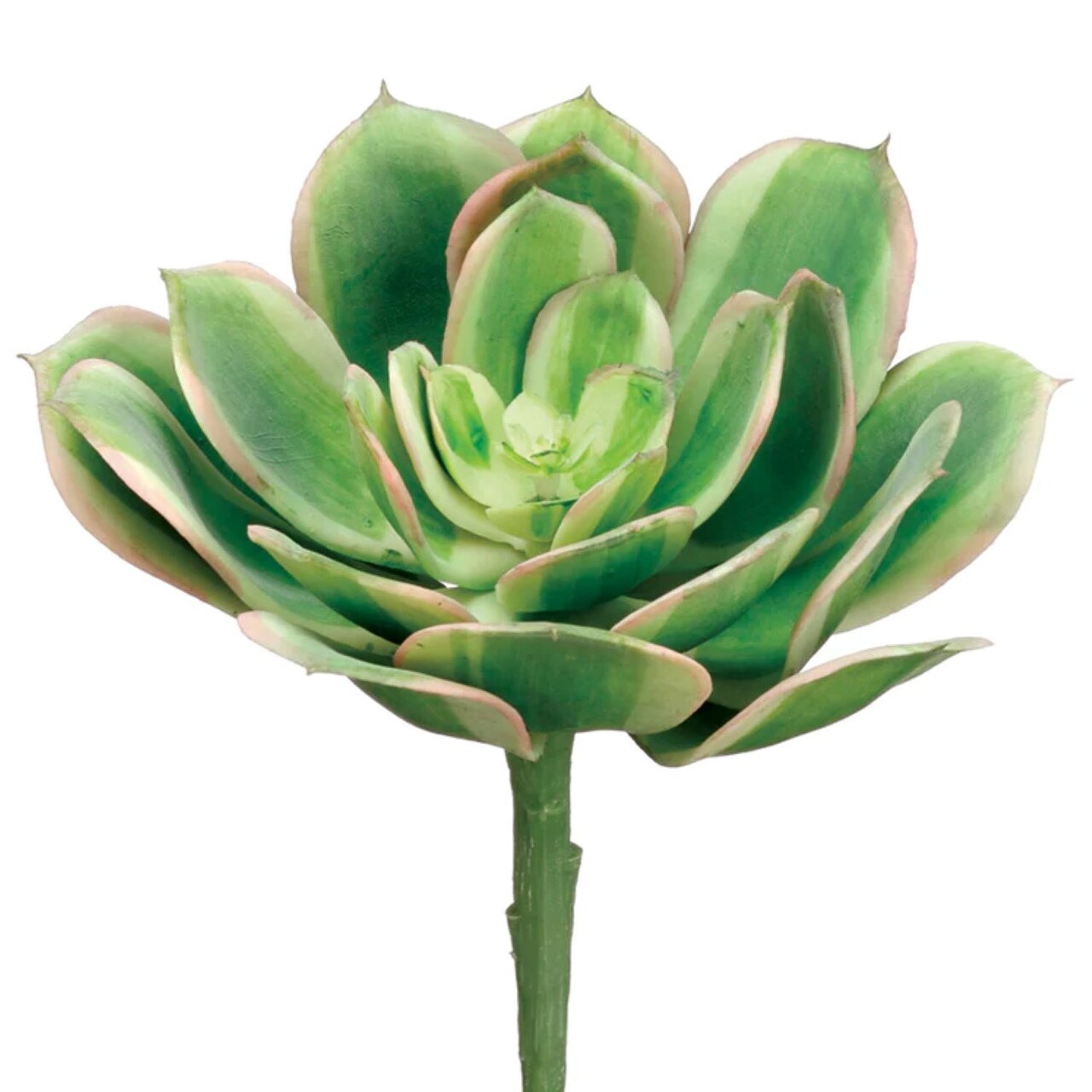 Allstate Echeveria Soft Touch Artificial Floral Pick Spray - 6" - Green and Pink